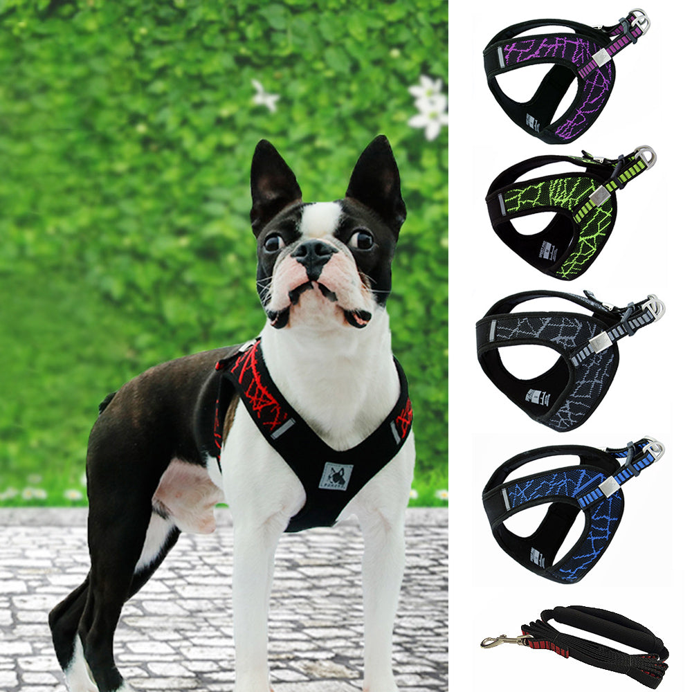 1PC Breathable Mesh Chest Dog Harness Leashes Set Nylon Outdoor Adjustable Harness For Small Medium Dog Pet Accessories