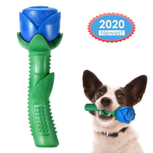 Dog Chew Toy Dogs Toothbrush Doggy Puppy Dental Care Dog Pet Holiday Gift  Dog Toys Pet Molar Tooth Cleaner Rose Stick trainging