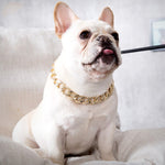 Fashion Pet Dog Collar Thick Collars Gold Chain Plastic Plated Identified Safety Collar Puppy Dogs Supplies 36cm / 45cm