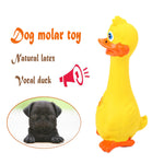 New 18cm Lovely Dog Toys Funny Yellow Rubber Chicken Pet Chew Honking Squeaking Squeaker Screaming Chicken Toy For Dogs Playing